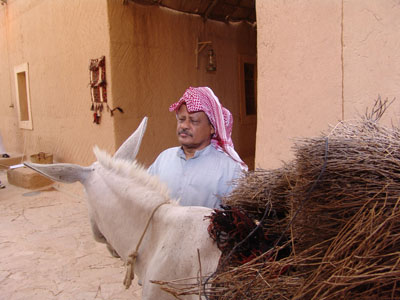 عبد الرحمن الخطيب